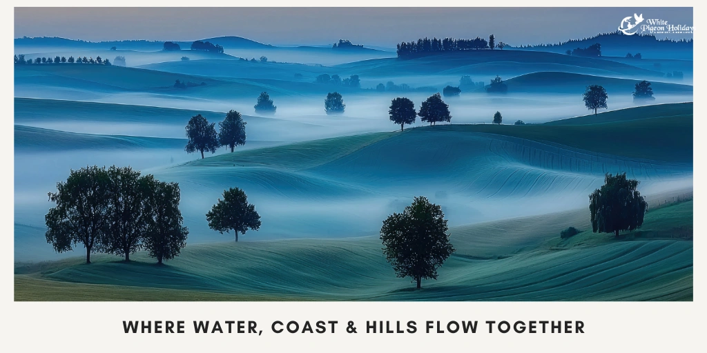 Backwaters, Beaches & Hills- Why Kerala Stands Out The backwaters Hills