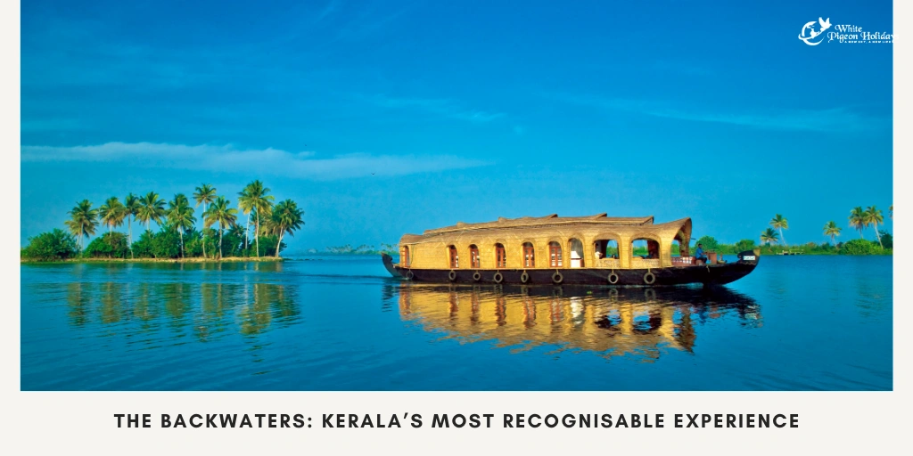 Backwaters, Beaches & Hills- Why Kerala Stands Out The backwaters