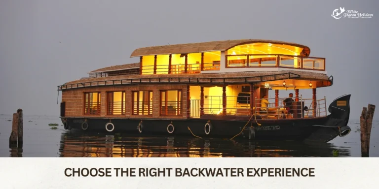 Kerala Houseboat Stay Guide right selection
