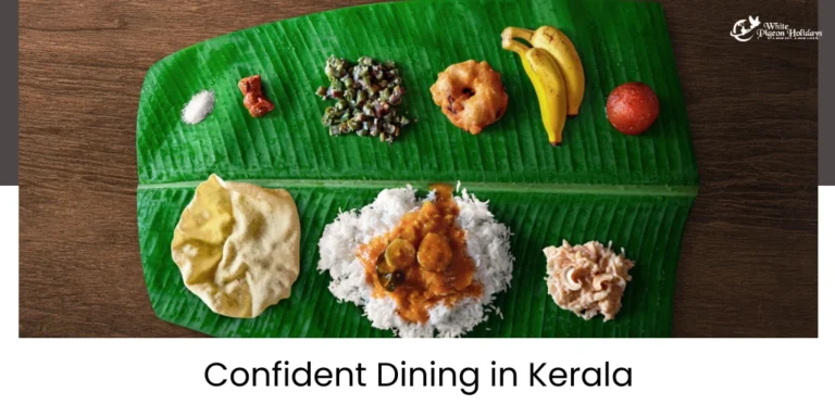 Kerala food safety guide