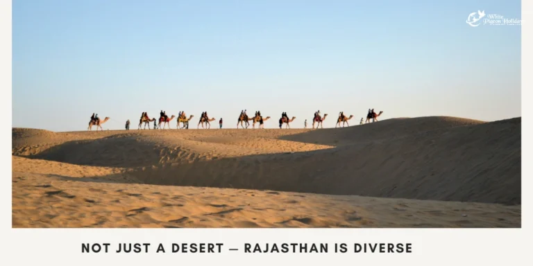 Rajasthan Myths Busted Travel Confidently desert