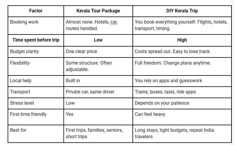 Rajasthan tour package vs diy