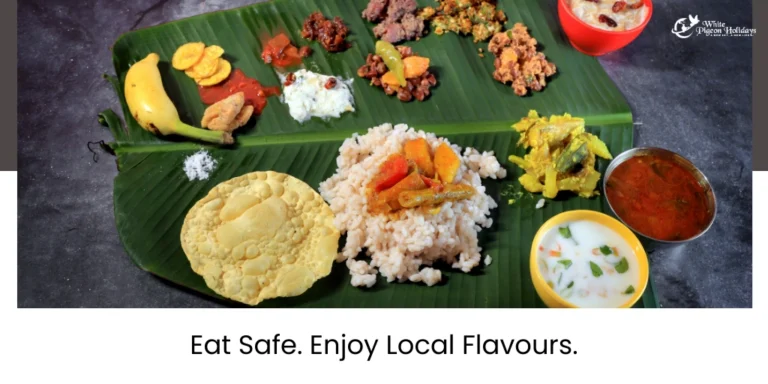Safety guide for kerala food