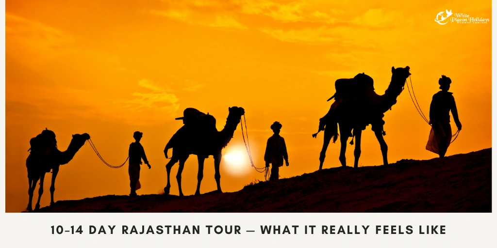 10–14 Day Rajasthan Tour- What You Really Experience