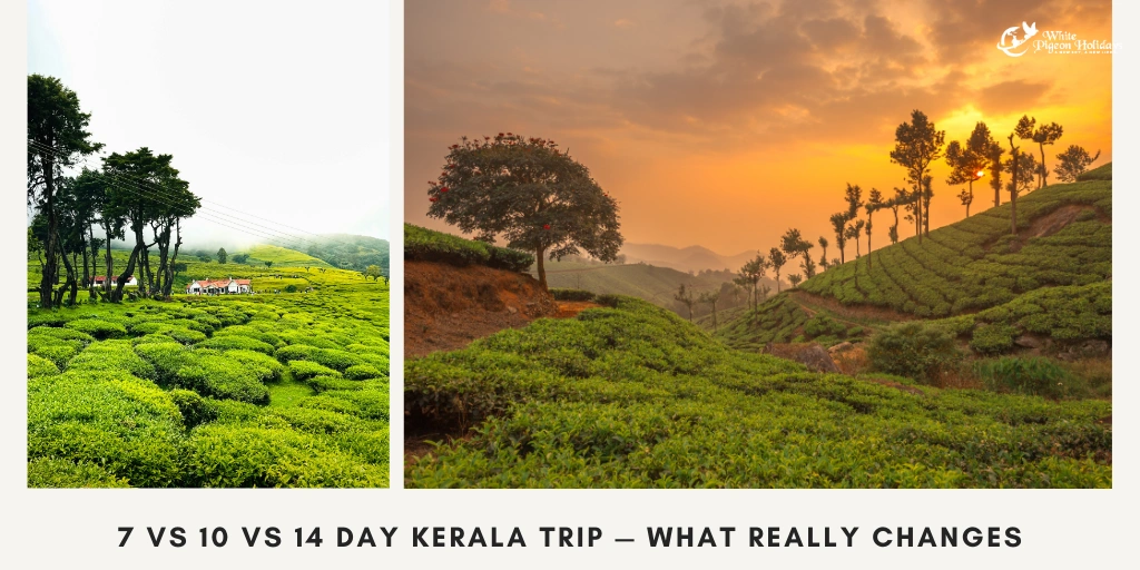 7 vs 10 vs 14 Day Kerala Trip