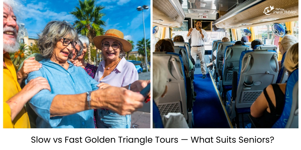 Best Golden Triangle Tour Style for Seniors