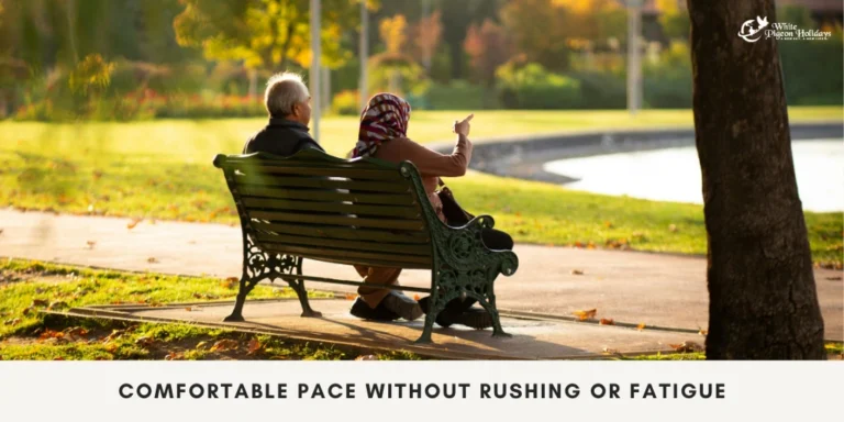 Golden Triangle Tour Pace explain for usa seniors