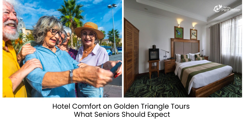 Hotel Comfort Standards on Golden Triangle Tours for Seniors