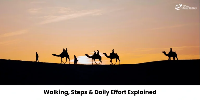 How Physically Easy Is a Rajasthan Tour for Travelers Over 60 usa