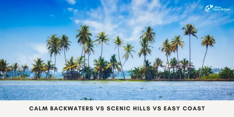 Kerala travel styles for seniors from usa