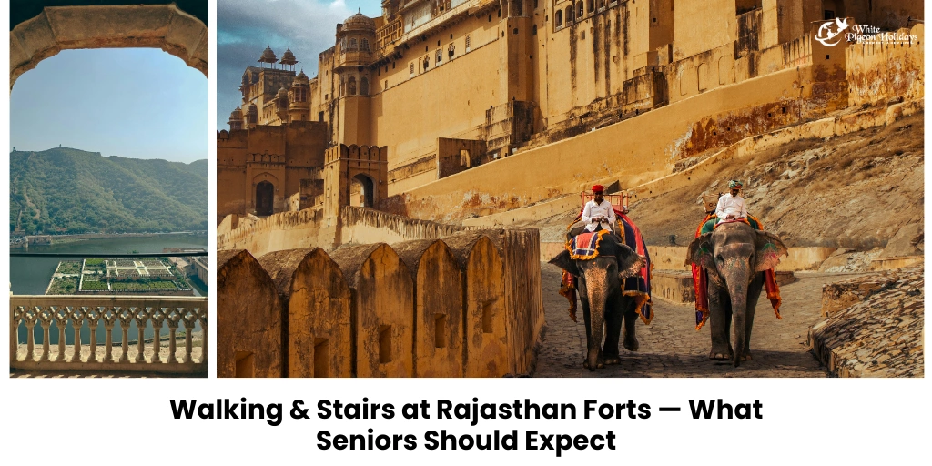 Walking, Stairs & Slopes- What Seniors Should Expect at Rajasthan Forts