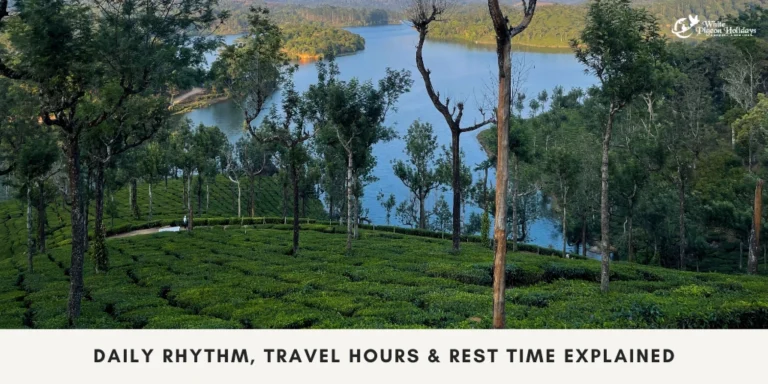 kERALA tour pace explained for usa senior travelers