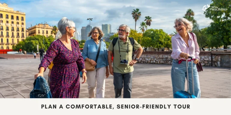 walking for usa seniors during golden triangle india tour