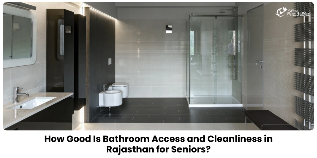 Bathroom Access & Cleanliness in Rajasthan: Senior Traveler Guide