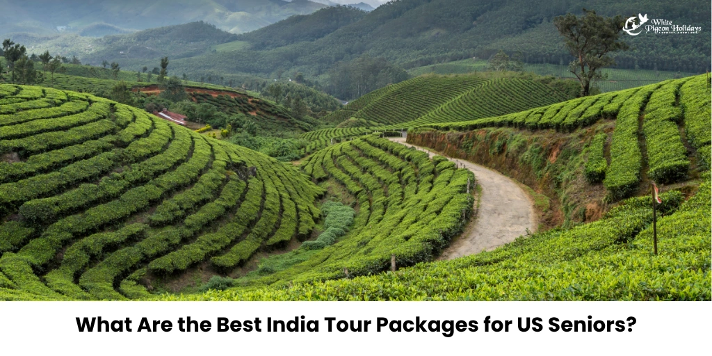 India Tour Packages for US Seniors (Comfort & Care)
