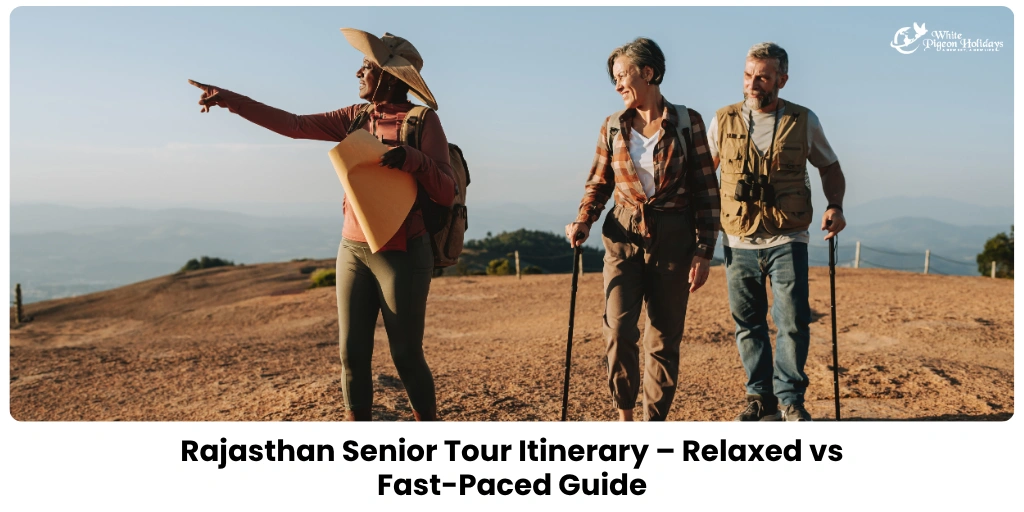 Relaxed Rajasthan Itinerary — Best Choice for Seniors Who Prefer Comfort