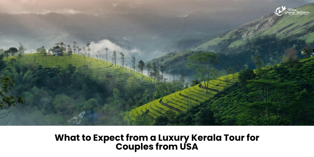 What Makes a Kerala Luxury Tour Different?