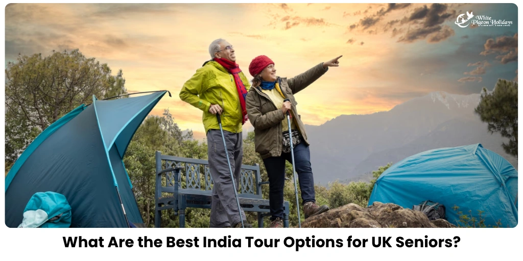 https://whitepigeonholidays.com/india-tours-uk-seniors/