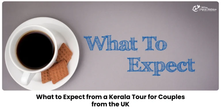 Kerala Tour for UK Couples what to expect