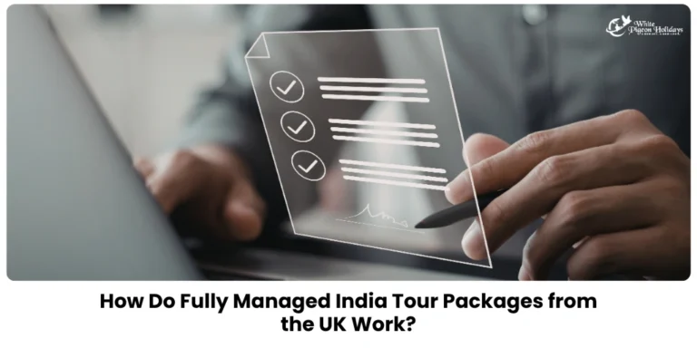 UK to India Senior