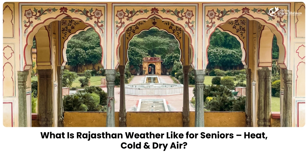 Rajasthan Weather for Seniors — Heat, Cold & Dry Air Guide