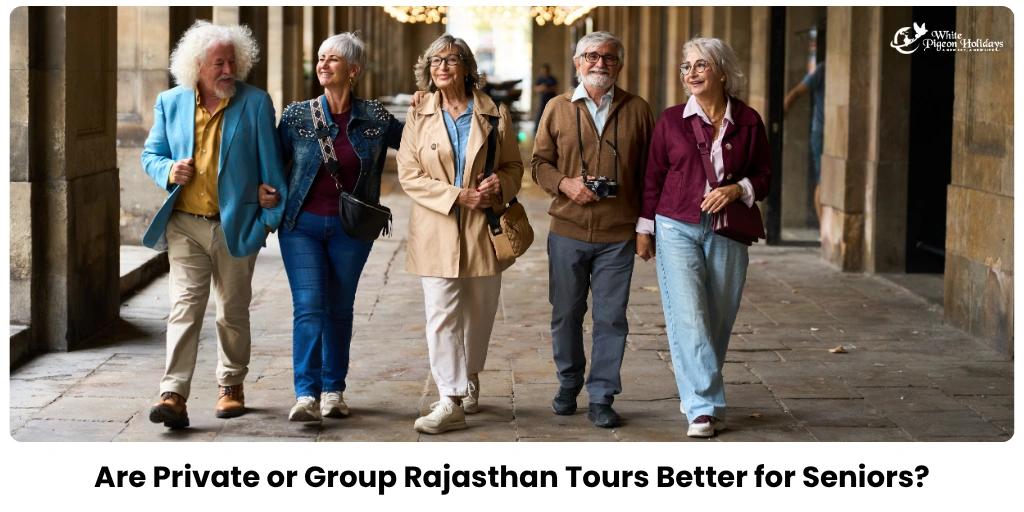Private vs Group Rajasthan Tours for Seniors — What’s Best?