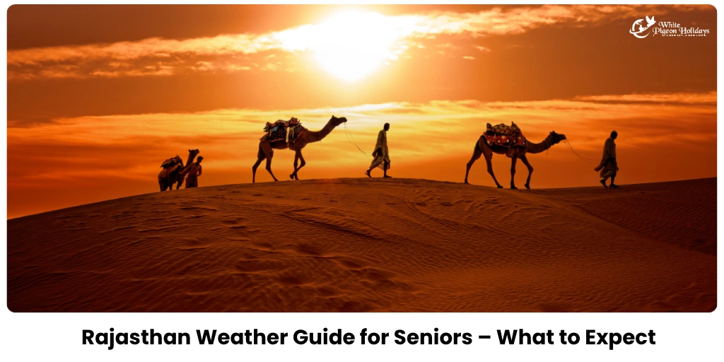 Rajasthan Weather by Season for Seniors