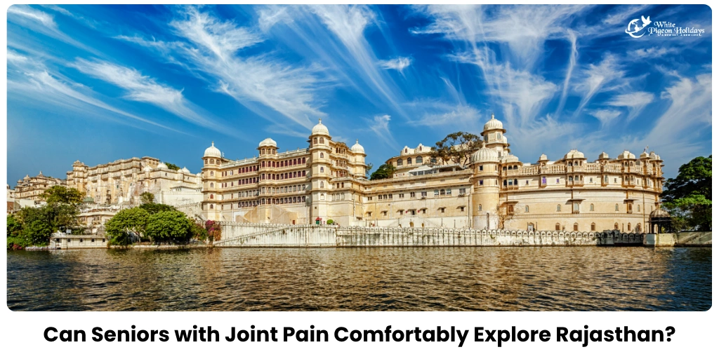 Tips to Make Rajasthan Travel Easier with Limited Mobility