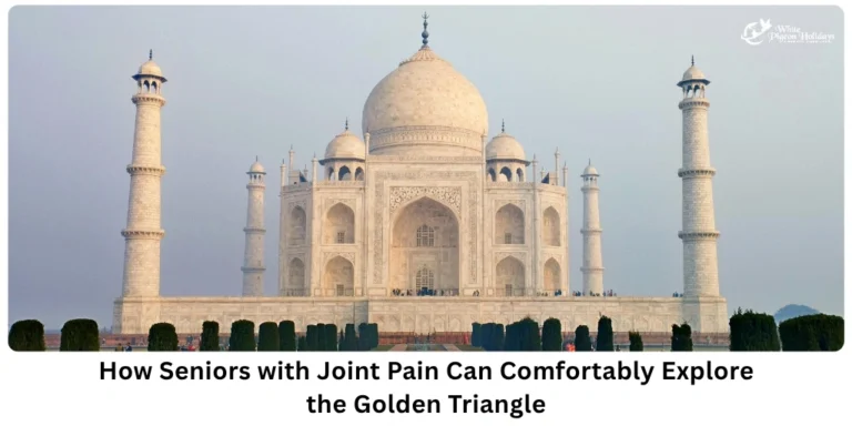 Arthritis or Knee Pain Do a Golden Triangle Tour