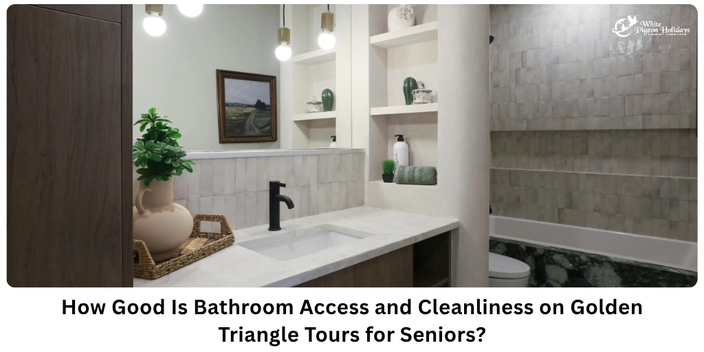 Bathroom Access and Cleanliness on Golden Triangle Tours — Senior Guide
