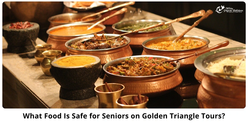 Food Safety & Digestive Comfort for Seniors on Golden Triangle Tours