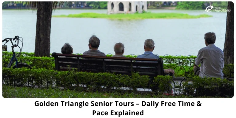 Free time for usa seniors in golden triangle india tour