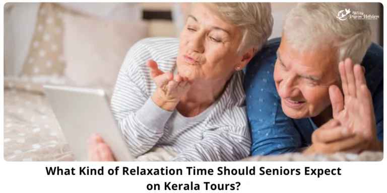 Free time guide for usa seniors to kerala tour