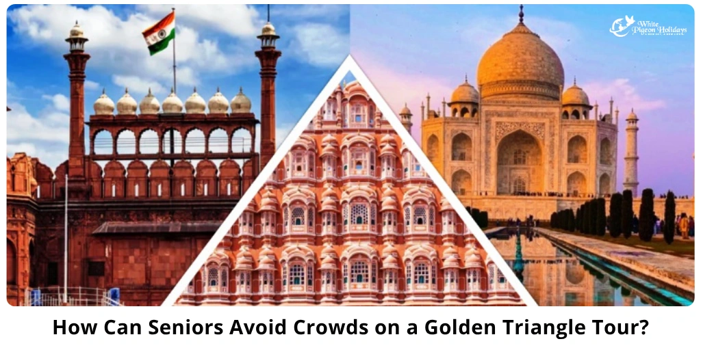Golden Triangle Crowds and Seniors — Smart Timing Tips