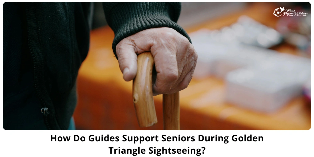 Golden Triangle Sightseeing Guide Support for Seniors