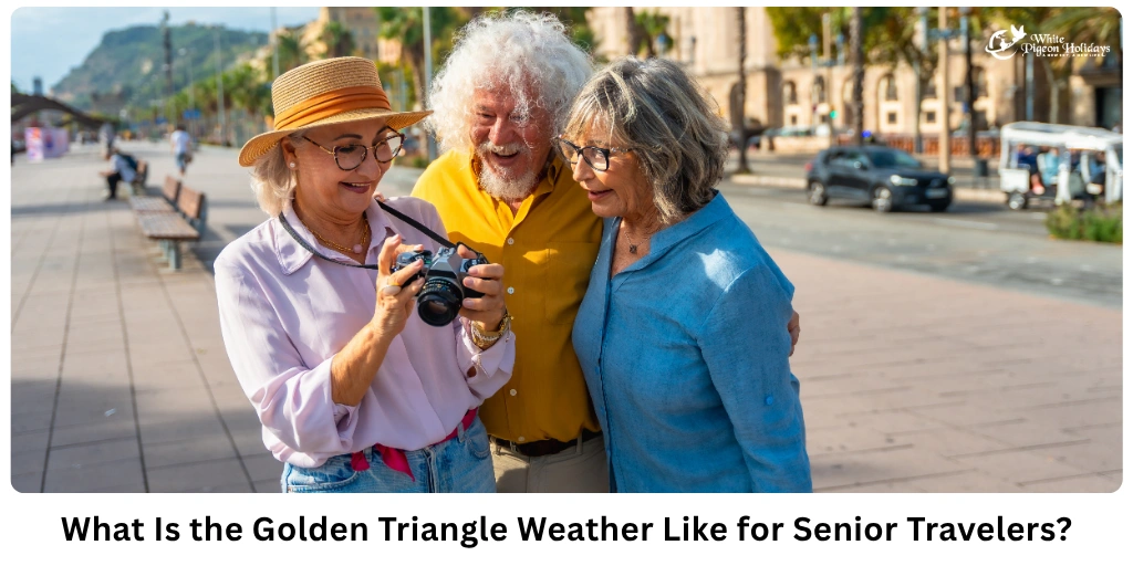 Golden Triangle Weather Guide for Senior Travelers