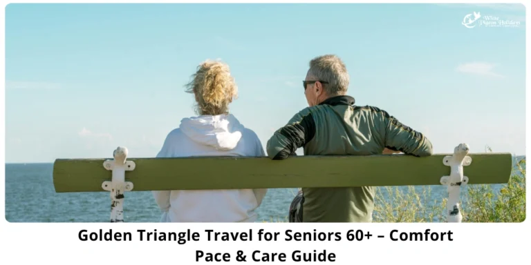 Golden triangle review honest for seniors