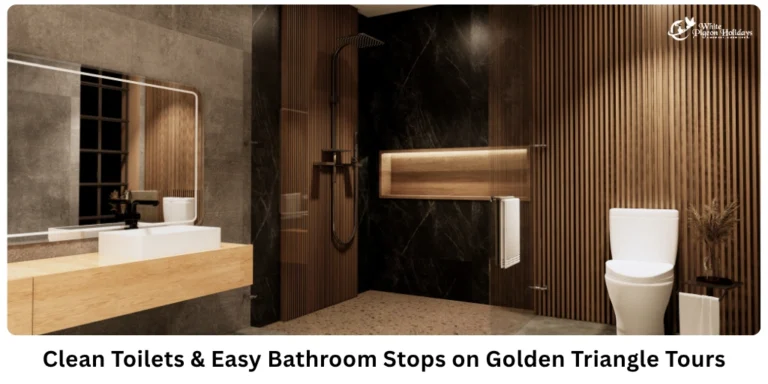 Golden triangle tour essentials for usa seniors