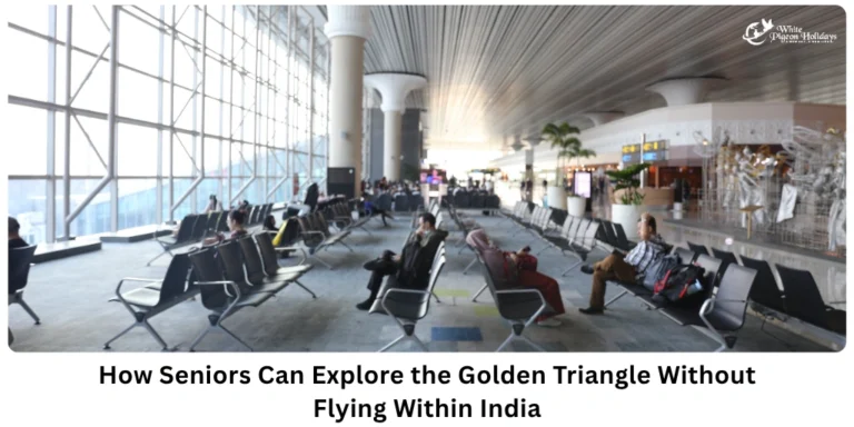 Golden triangle tour without internal flights