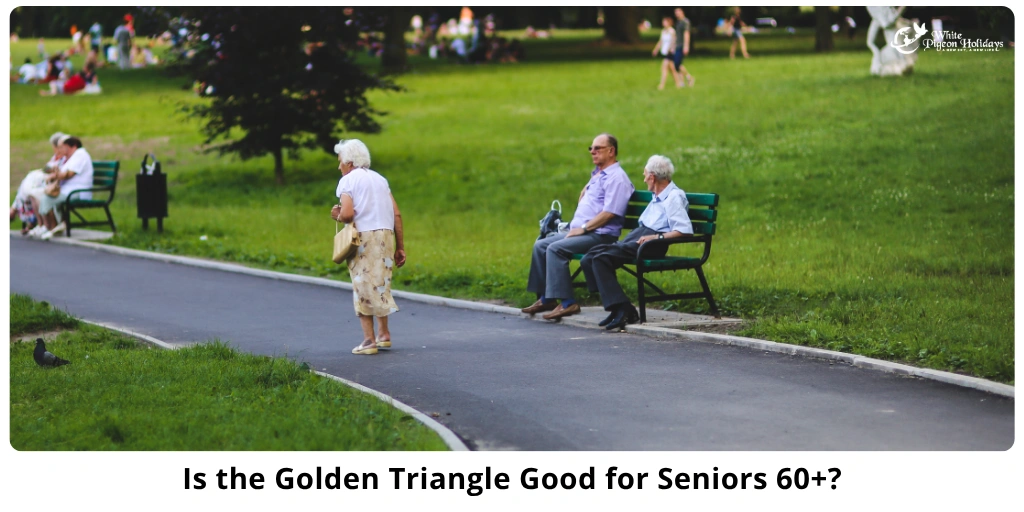 Is the Golden Triangle Good for Seniors 60+ - A Traveler’s Guide