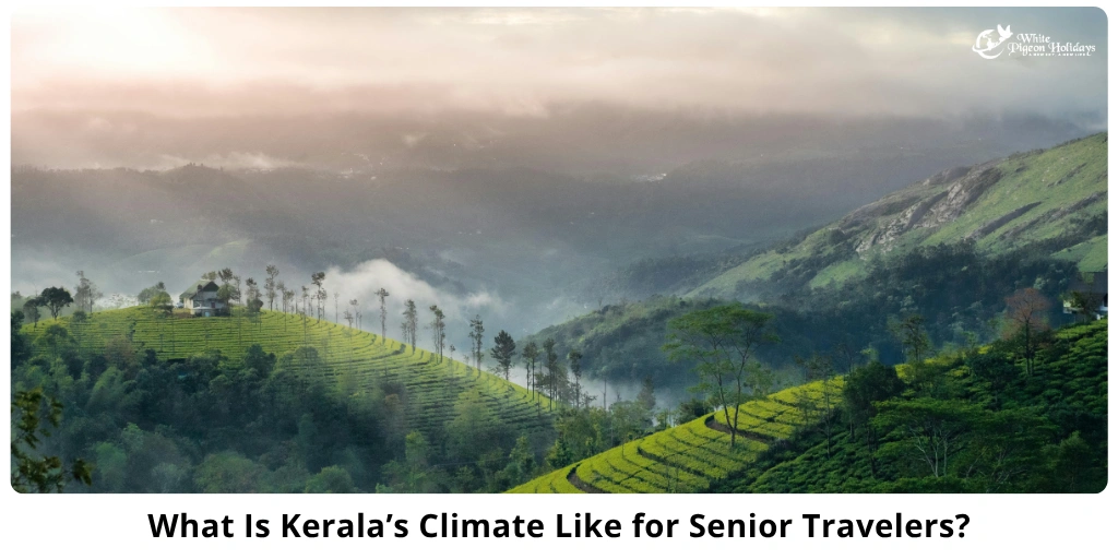Kerala Climate & Health Tips for Senior Travelers