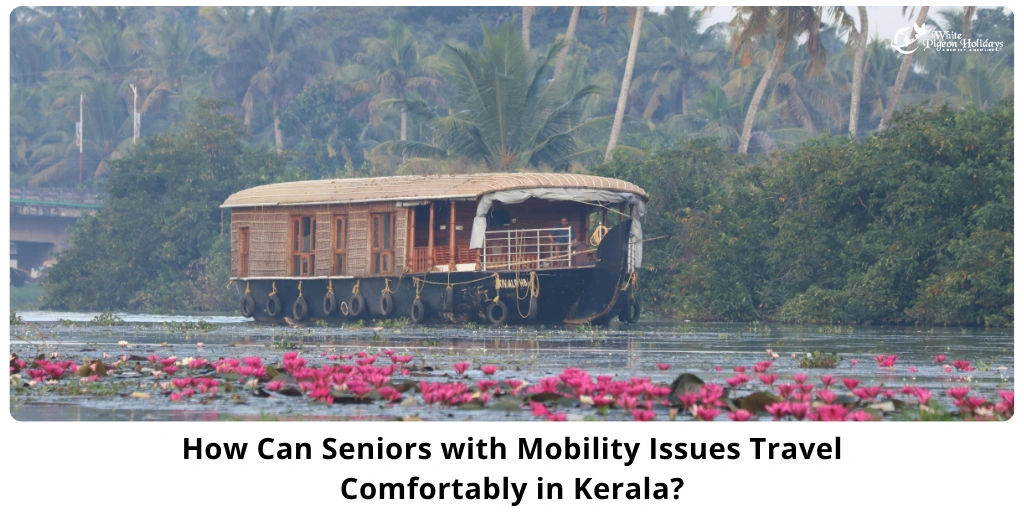 Kerala Travel Tips for Seniors with Mobility Issues