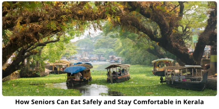 What should eat usa seniors in kerala tour
