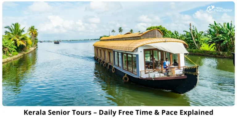 Kerala senior free time guide