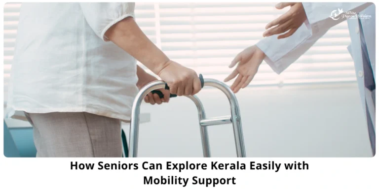 Keralal senior travel from usa senior guide