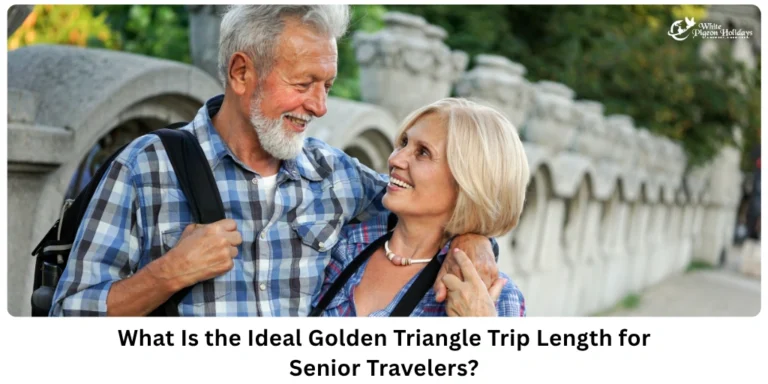 Optimal length for usa seniors for golden triangle india tour