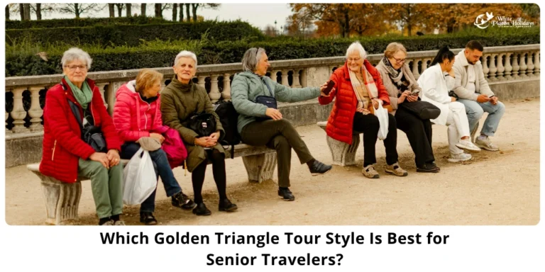 Private vs Group Golden Triangle Tours - What Seniors Should Choose
