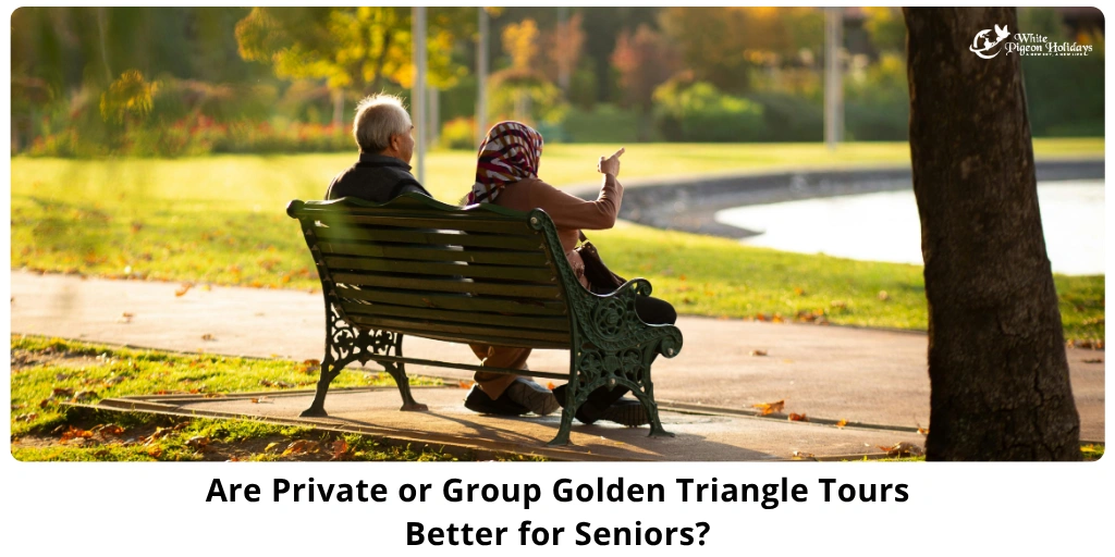 Private vs Group Golden Triangle Tours — What Seniors Should Choose