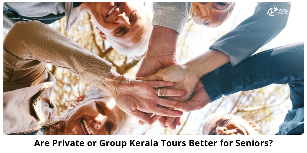 Private vs Group Kerala Tours for Seniors: Which Is Best?