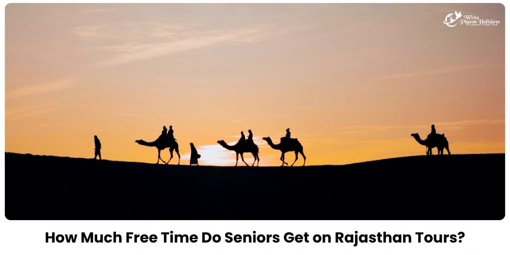 Rajasthan Travel Insurance for Seniors from USA — What Must Be Covered
